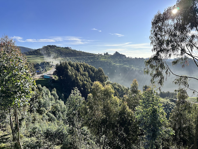 Nyungwe Forest National Park - Chimpanzees